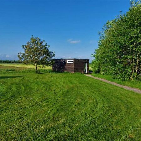 Tiny House "De Veenpolder" De Veenhoop Dış mekan fotoğraf