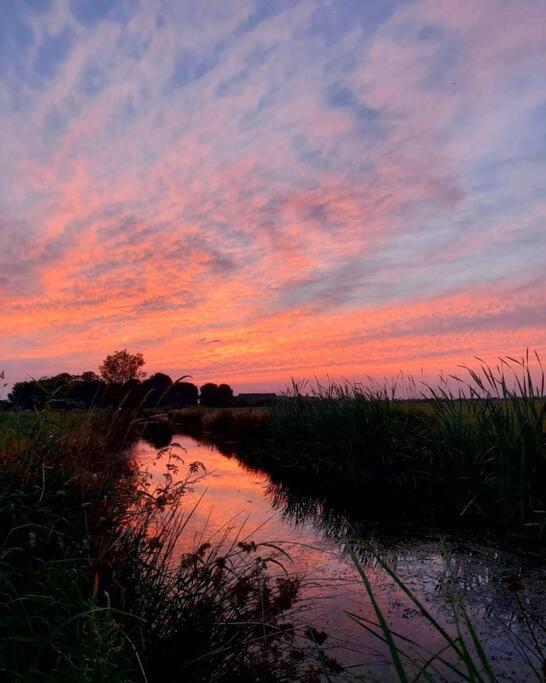 Tiny House "De Veenpolder" De Veenhoop Dış mekan fotoğraf