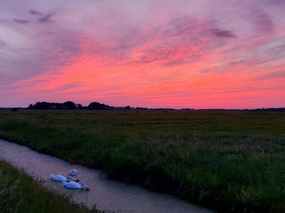 Tiny House "De Veenpolder" De Veenhoop Dış mekan fotoğraf